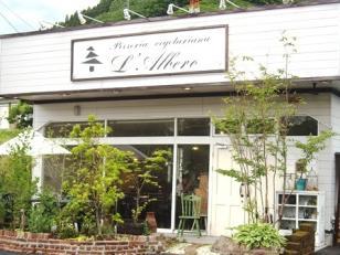 L‘Albero（アルベロ）はイタリア語で『樹木』を意味します。
たくさんの人が集い、笑い声を栄養にやがて大きく成長する樹木のようなお店で、一緒に働きませんか？