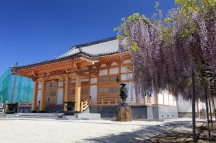 樹木葬の受付・ご案内スタッフ（普門寺）