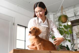 あなたの経験を発揮してください！