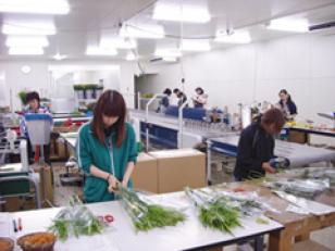 花束加工・梱包スタッフ