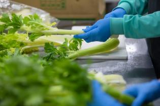 食材の仕分け・積込み・荷受けなど