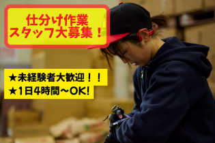 倉庫内での仕分け作業スタッフ