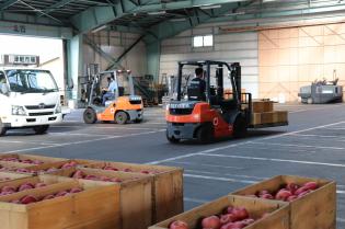 りんご専門卸売市場の荷捌､組み方･荷下ろし作業員／フルタイム
