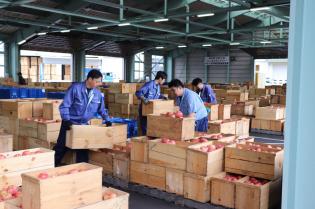 りんご専門卸売市場の組み方作業員／パートタイム