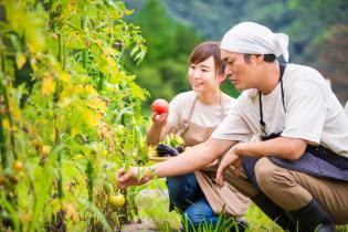 障がい者就労支援スタッフ