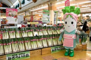 市役所の初級土木・建築スタッフ