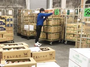 青果物仕分け出荷作業