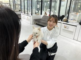 ペットショップの店舗運営