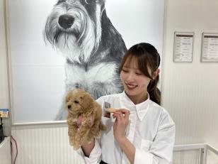 ペットショップスタッフ