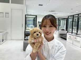 ペットショップの接客販売員