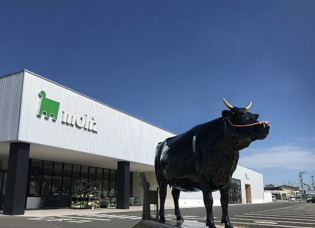 精肉部門スタッフ