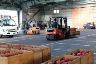 りんご専門卸売市場の荷捌､組み方･荷下ろし作業員