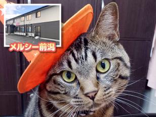 介護職員