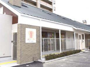 認可保育園の保育士