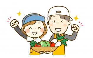 野菜部門の仕入れ補助・運搬・梱包作業