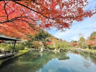 日帰り温泉・庭園の受付、ホール・キッチンスタッフ