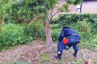 造園作業スタッフ