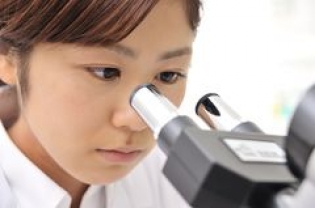 巻き線コイルを用いたチップインダクタの製造