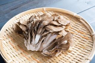 舞茸の栽培・梱包スタッフ