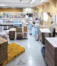 たまごパッキングセンターのライン作業スタッフ