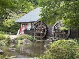 観光施設の課長職