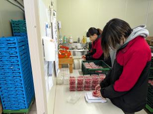野菜・果物の仕分けスタッフ