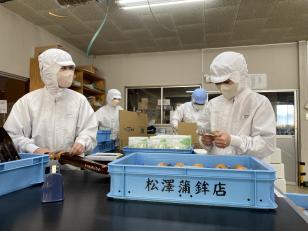 かまぼこ商品の包装作業スタッフ