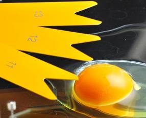 たまごの品質・衛生管理