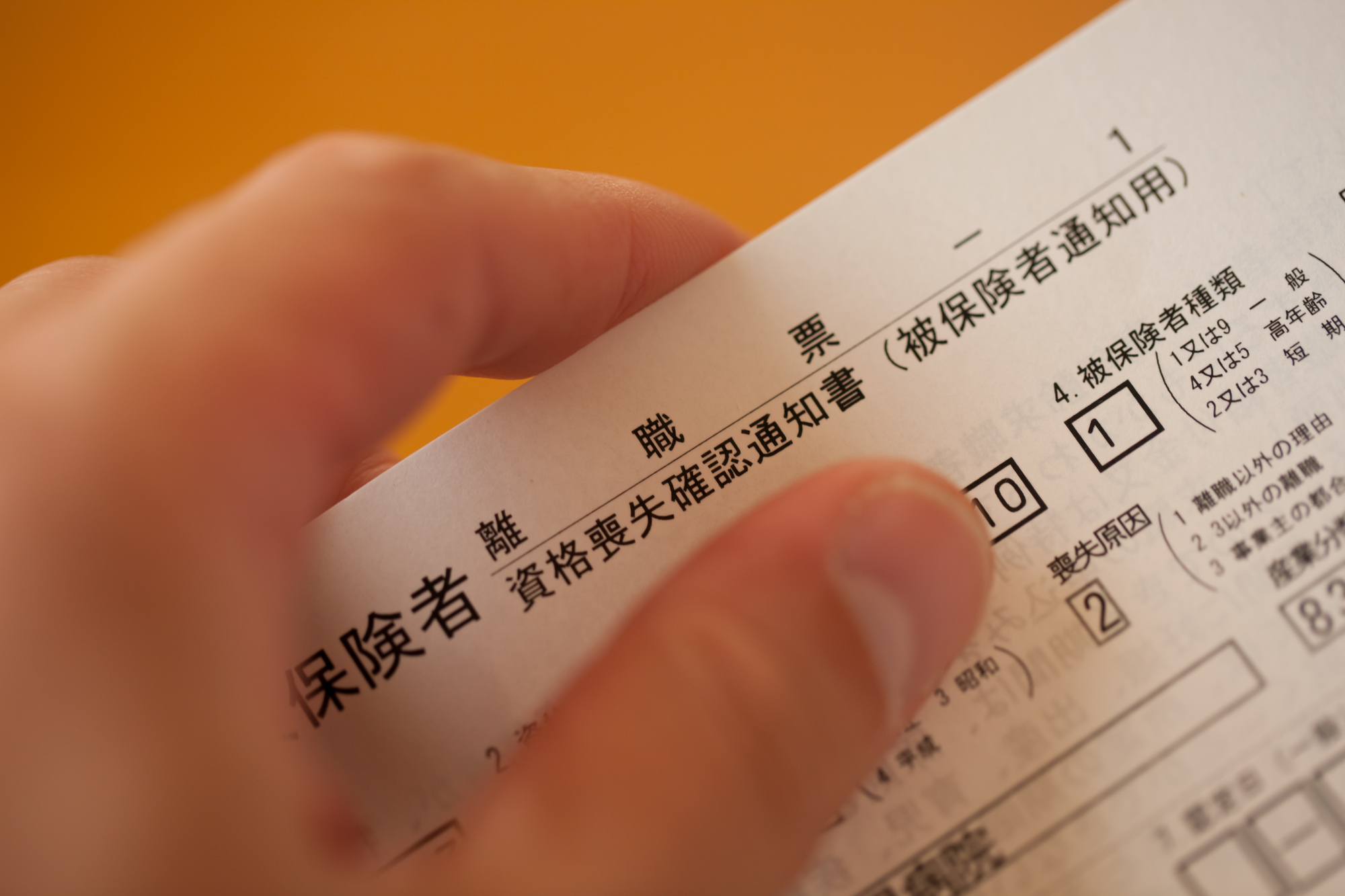 非正規雇用の失業給付